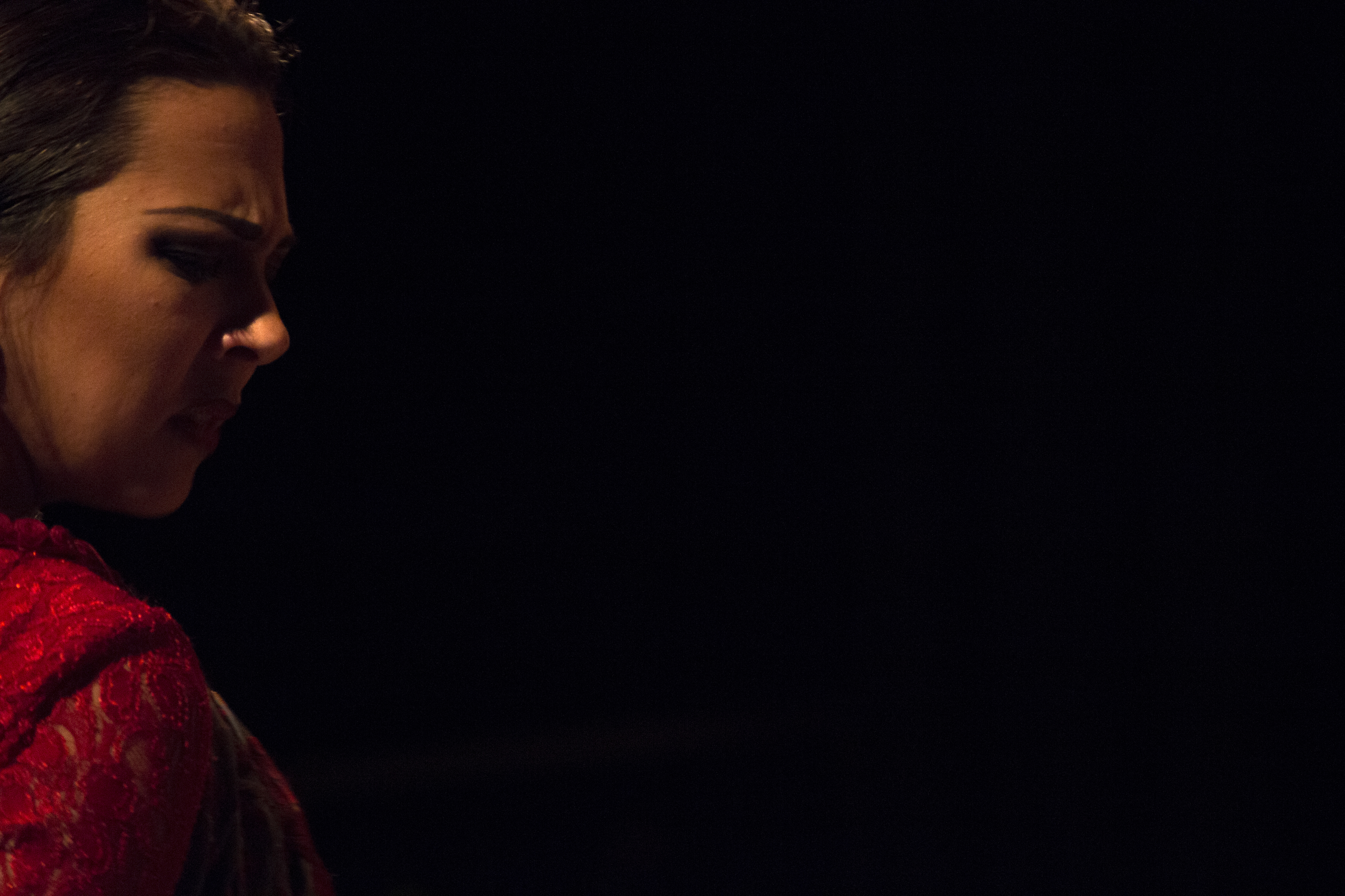 Flamenco dancer profile